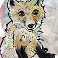 Friendly Fox
